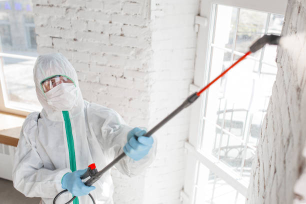 Mold Remediation for Vacation Homes in Boiling Spring Lakes, NC