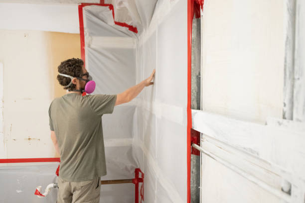 Best Mold Damage Restoration  in Boiling Spring Lakes, NC